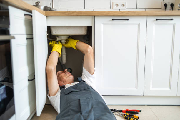 Best Local Plumber Services  in Steelville, MO